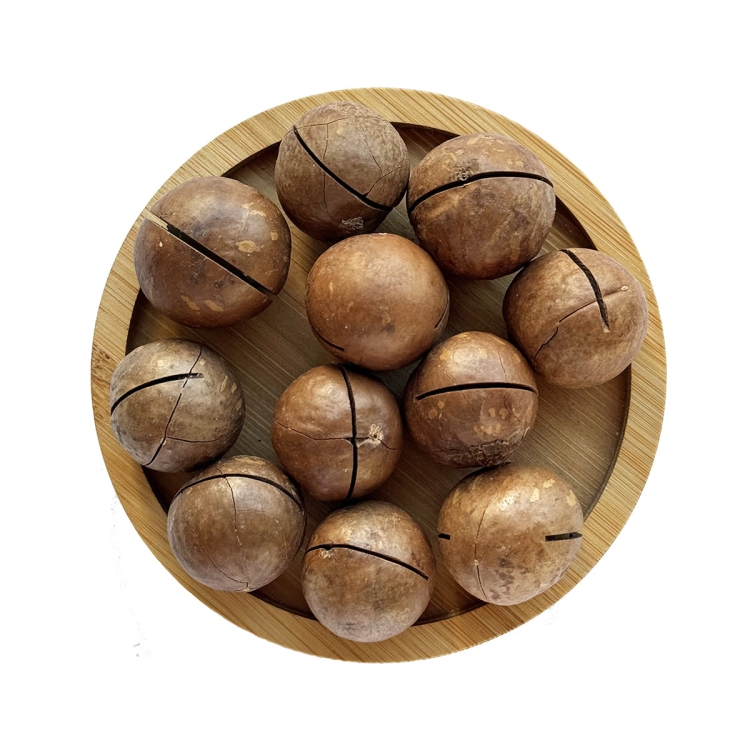 Orzechy Makadamia W Łupinie 100g