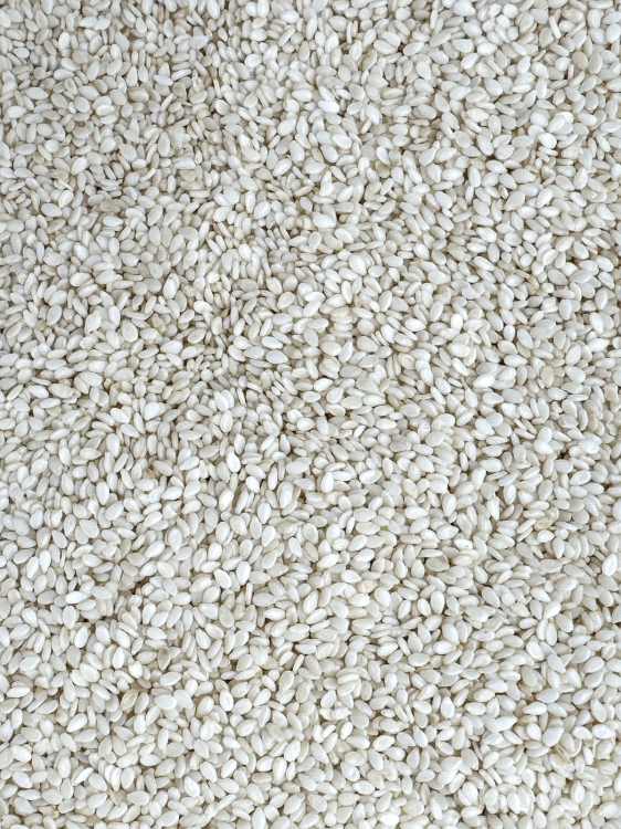 Sezam Biały Ziarno Łuskane 500g Naturalne